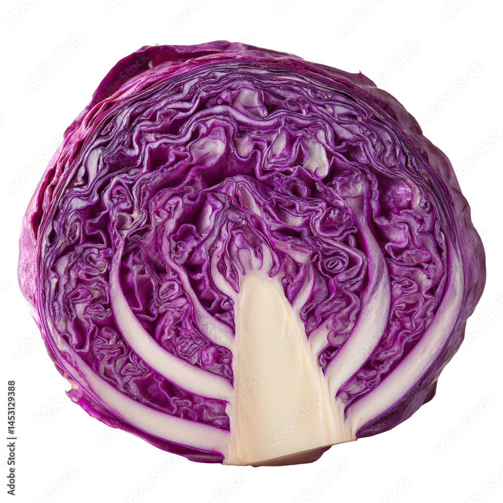Obraz premium Vibrant red cabbage slice PNG enriches healthy food visuals marketing