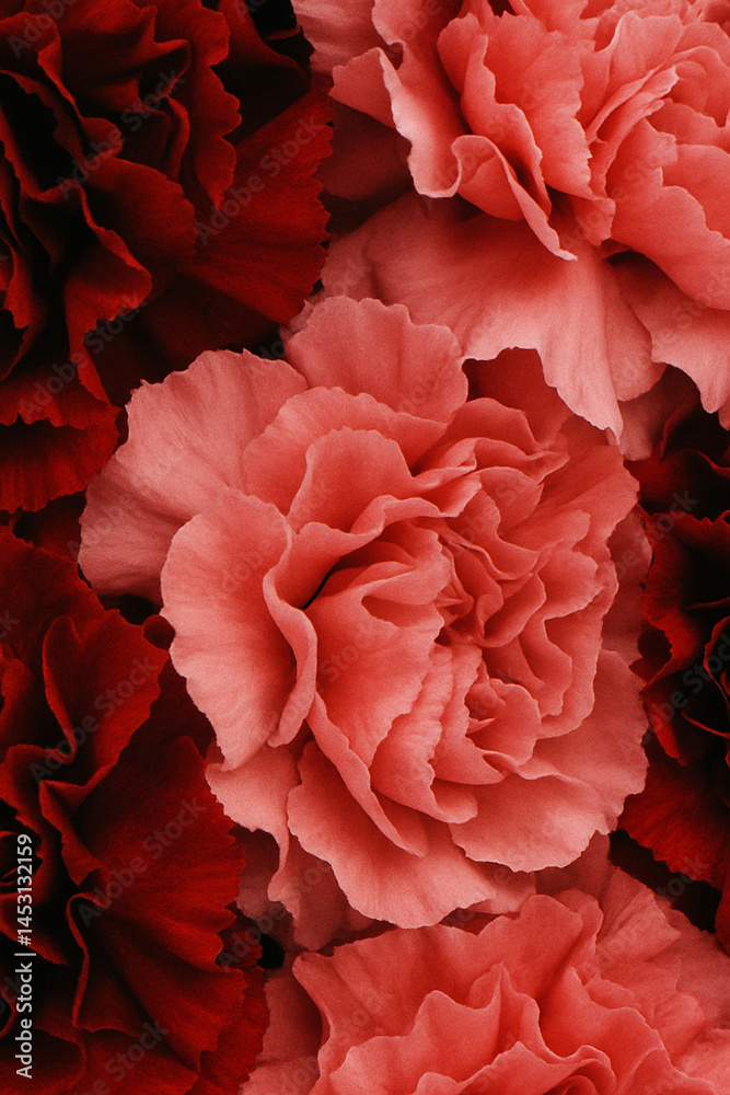 Red and pink carnation flower pattern in vibrant romantic design
