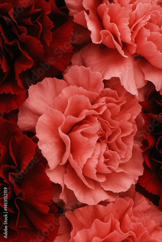 Obraz na płótnie Red and pink carnation flower pattern in vibrant romantic design w salonie