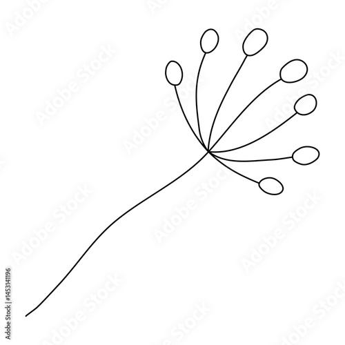 Minimalist single flower with thin stem, doodle style flat vector outline for coloring book