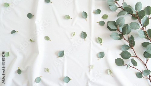 Obraz na płótnie Eucalyptus Leaves Arrangement on White Fabric Background for Autumn Leaves Frame, Thanksgiving w salonie
