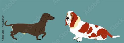 Funny dog friends Dachshund and Basset hound dog vector illustration isolated. Beware of dog. Best friend for kids. Lovely pet member of family home.