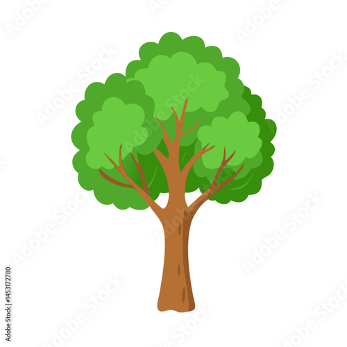 Tree: The Natural Giant and Oxygen Provider