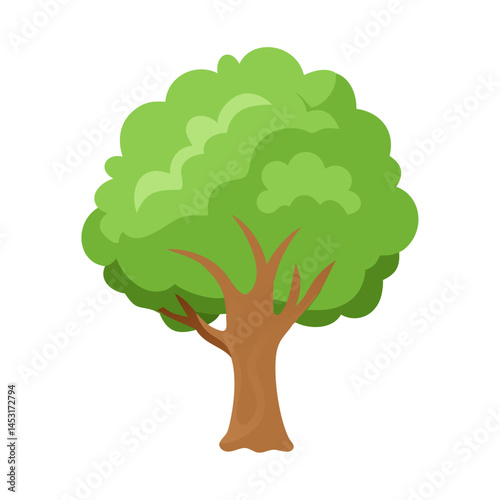 Tree: The Natural Giant and Oxygen Provider