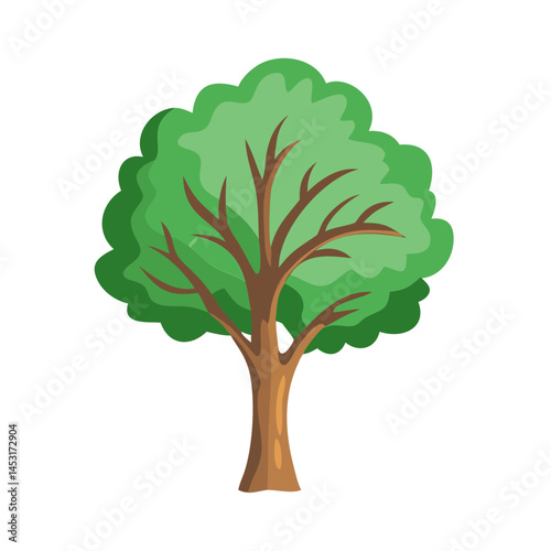 Tree: The Natural Giant and Oxygen Provider