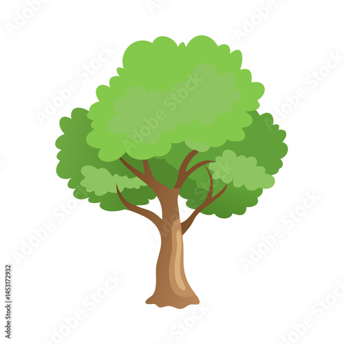 Tree: The Natural Giant and Oxygen Provider