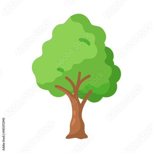 Tree: The Natural Giant and Oxygen Provider