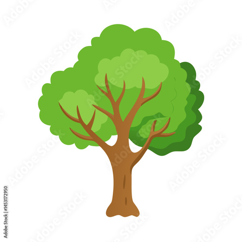 Tree: The Natural Giant and Oxygen Provider