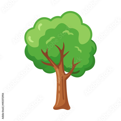 Tree: The Natural Giant and Oxygen Provider