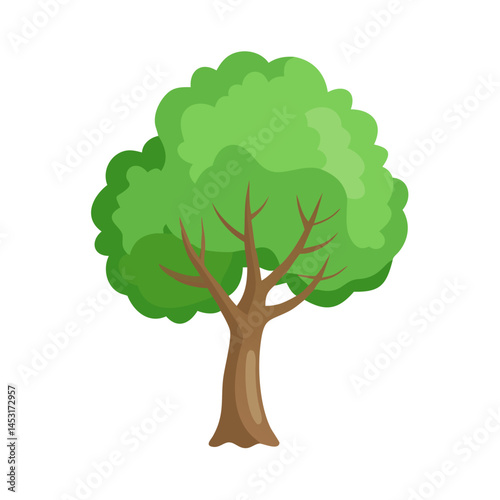 Tree: The Natural Giant and Oxygen Provider