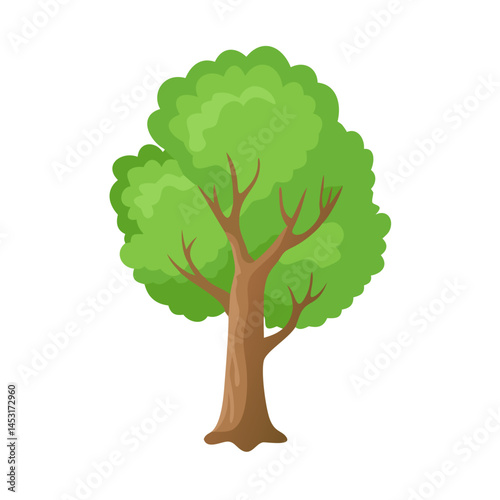 Tree: The Natural Giant and Oxygen Provider