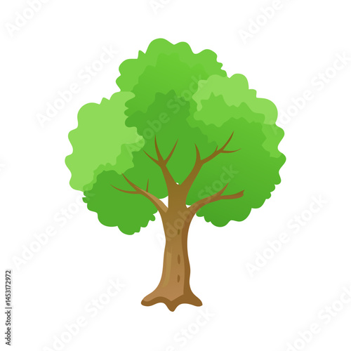 Tree: The Natural Giant and Oxygen Provider