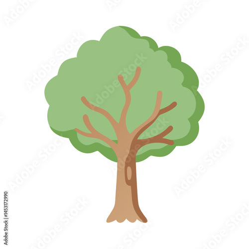 Tree: The Natural Giant and Oxygen Provider