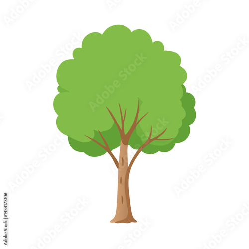Tree: The Natural Giant and Oxygen Provider