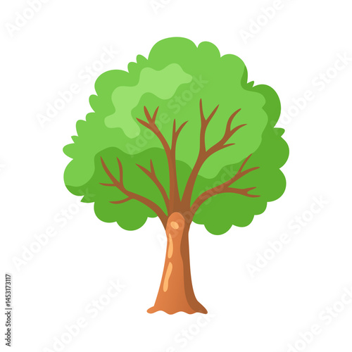 Tree: The Natural Giant and Oxygen Provider