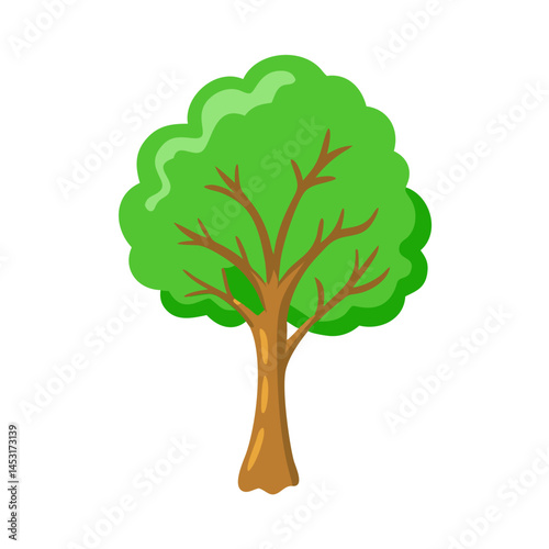 Tree: The Natural Giant and Oxygen Provider