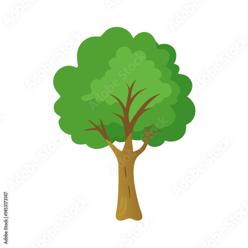 Tree: The Natural Giant and Oxygen Provider