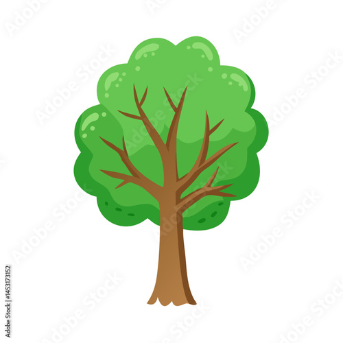 Tree: The Natural Giant and Oxygen Provider