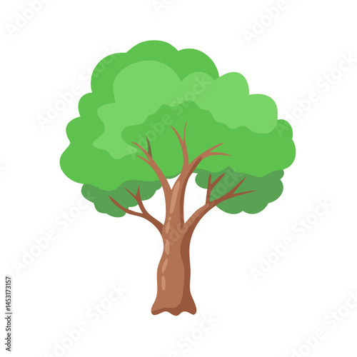 Tree: The Natural Giant and Oxygen Provider