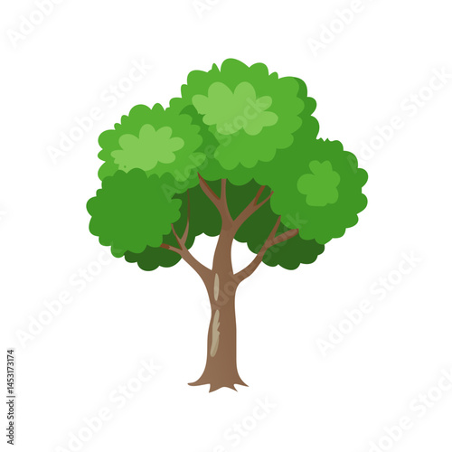 Tree: The Natural Giant and Oxygen Provider