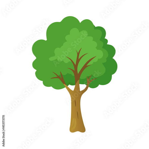 Tree: The Natural Giant and Oxygen Provider