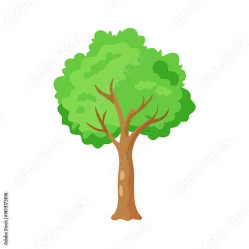 Tree: The Natural Giant and Oxygen Provider