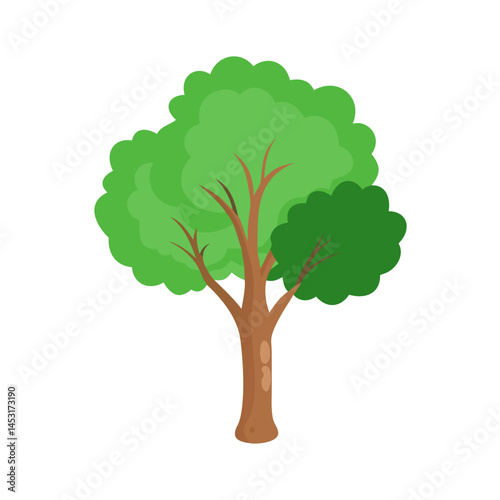 Tree: The Natural Giant and Oxygen Provider