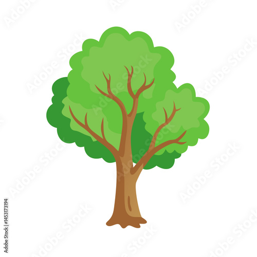 Tree: The Natural Giant and Oxygen Provider