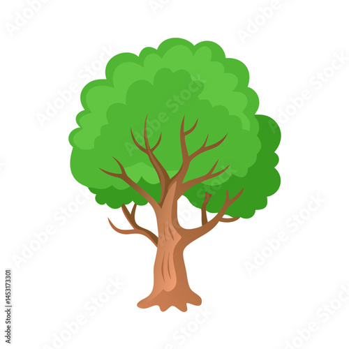 Tree: The Natural Giant and Oxygen Provider