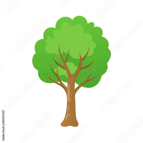 Tree: The Natural Giant and Oxygen Provider