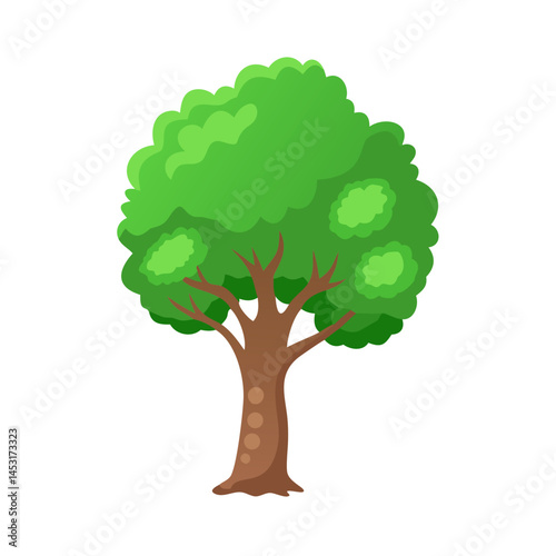 Tree: The Natural Giant and Oxygen Provider