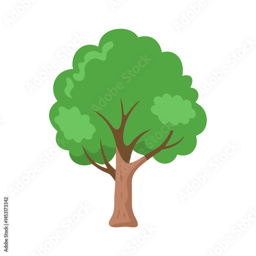 Tree: The Natural Giant and Oxygen Provider