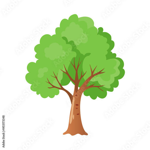 Tree: The Natural Giant and Oxygen Provider