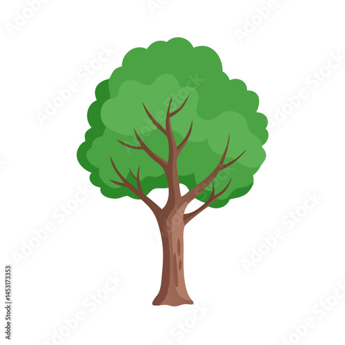 Tree: The Natural Giant and Oxygen Provider