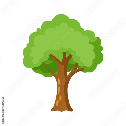 Tree: The Natural Giant and Oxygen Provider