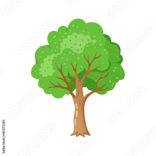 Tree: The Natural Giant and Oxygen Provider