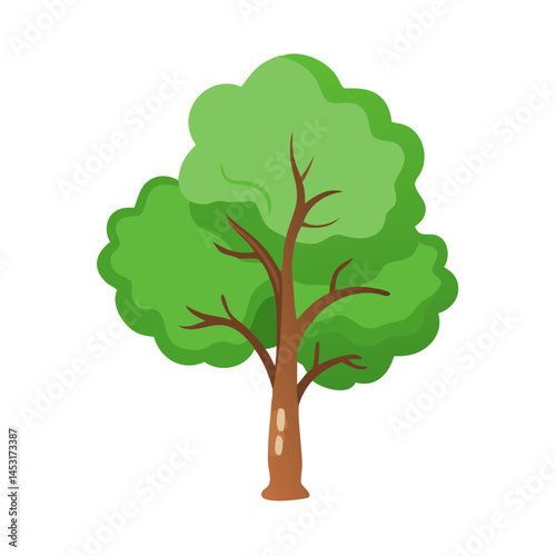 Tree: The Natural Giant and Oxygen Provider