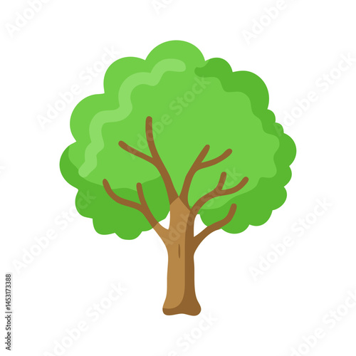Tree: The Natural Giant and Oxygen Provider