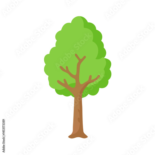 Tree: The Natural Giant and Oxygen Provider