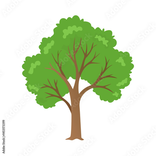 Tree: The Natural Giant and Oxygen Provider