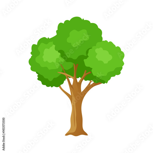 Tree: The Natural Giant and Oxygen Provider