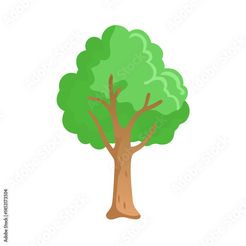 Tree: The Natural Giant and Oxygen Provider