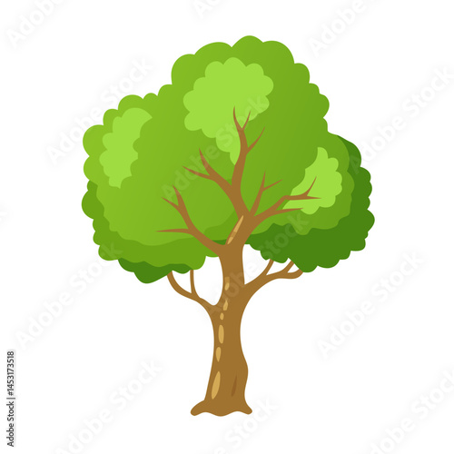 Tree: The Natural Giant and Oxygen Provider