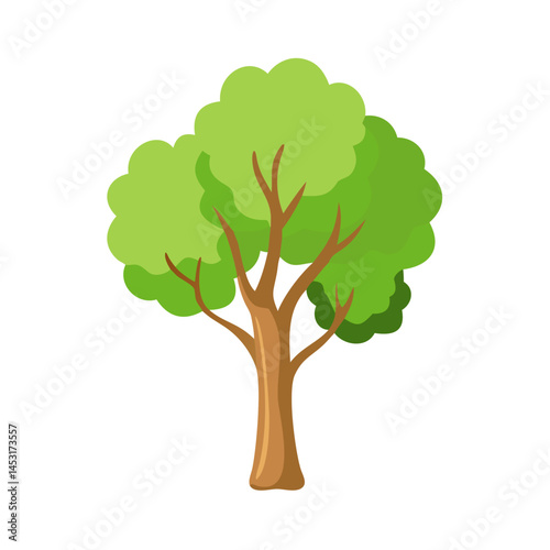 Tree: The Natural Giant and Oxygen Provider
