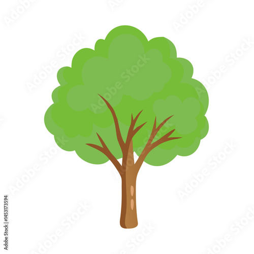 Tree: The Natural Giant and Oxygen Provider