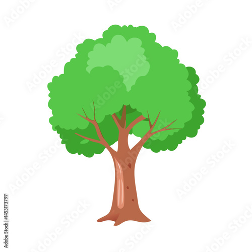 Tree: The Natural Giant and Oxygen Provider