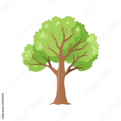 Tree: The Natural Giant and Oxygen Provider