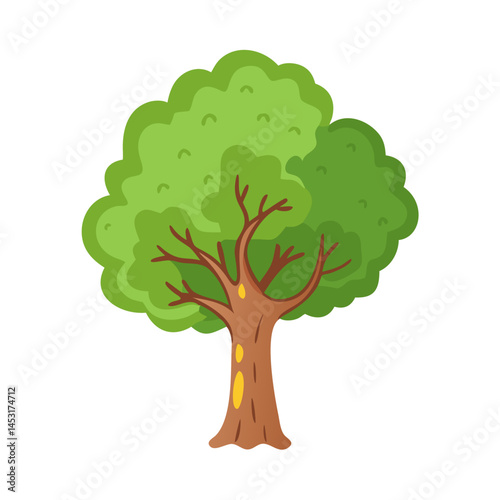 Tree: The Natural Giant and Oxygen Provider