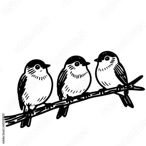Canvas Print Three cute birds sitting on a branch
