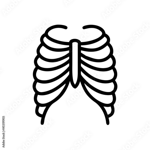 ribs
